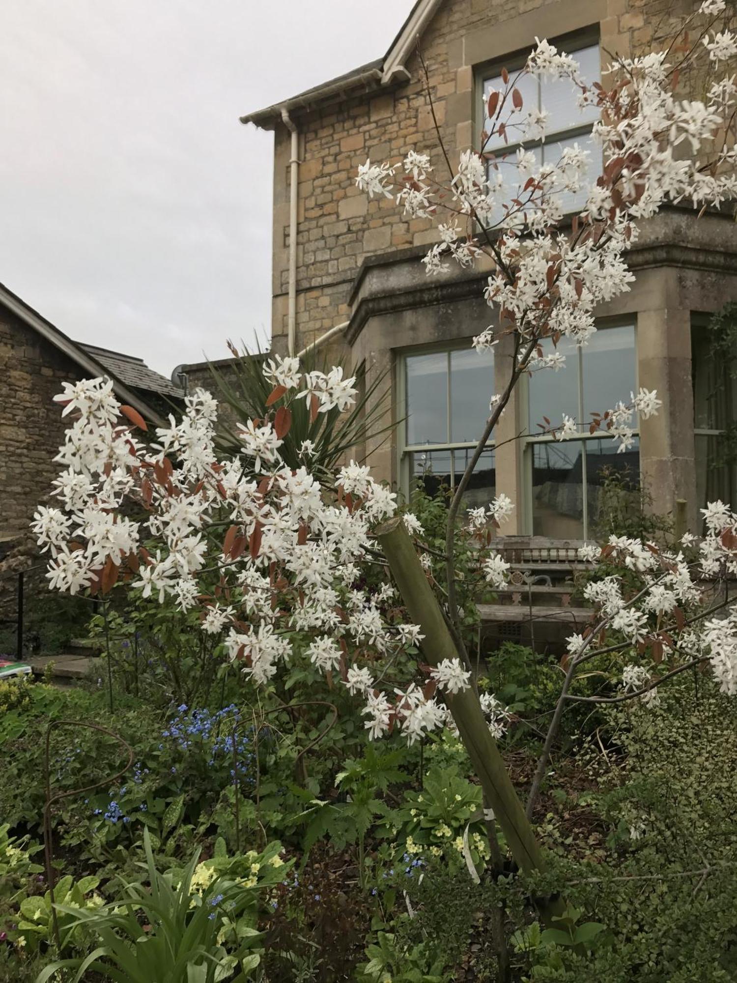 Turks Hall Bruton Exterior foto